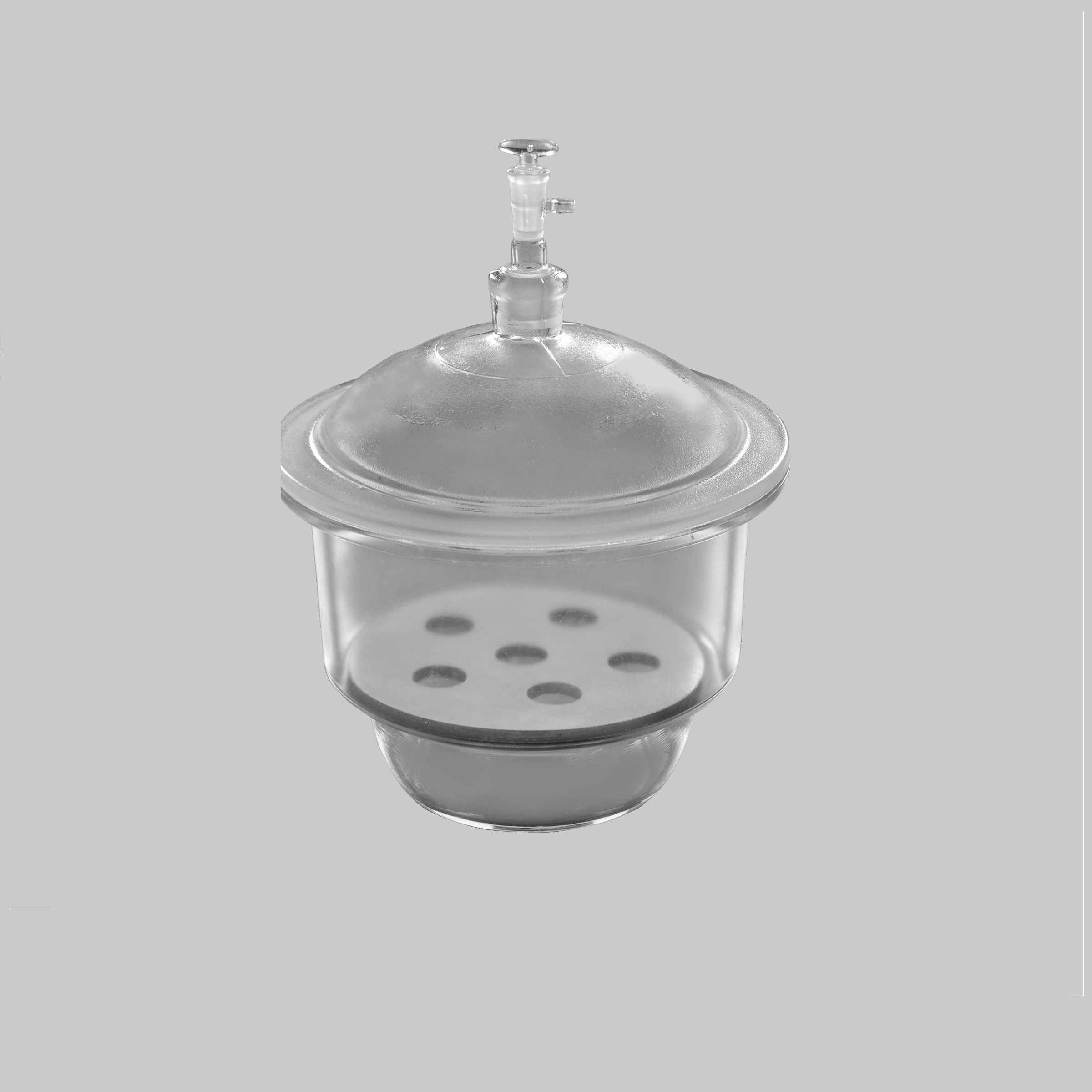Desiccator Vacuum, Borosilicate Glass