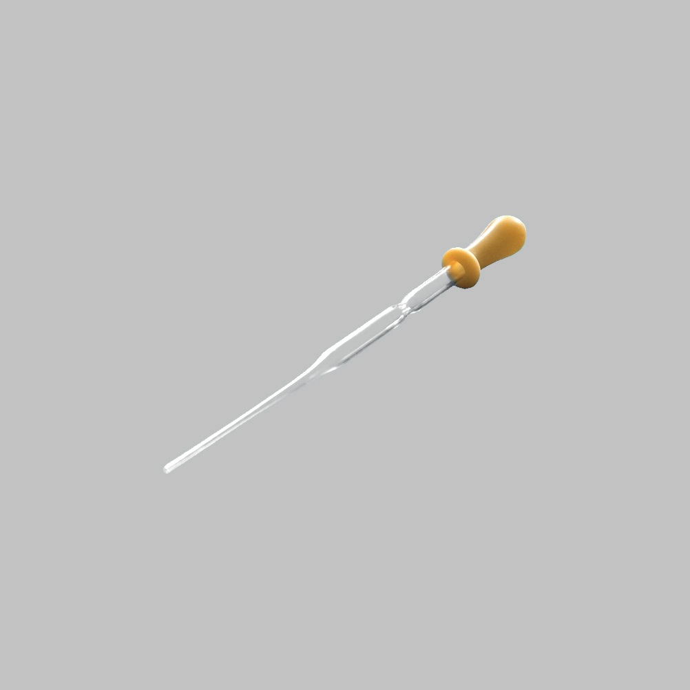 Pasteur Pipettes with Teat